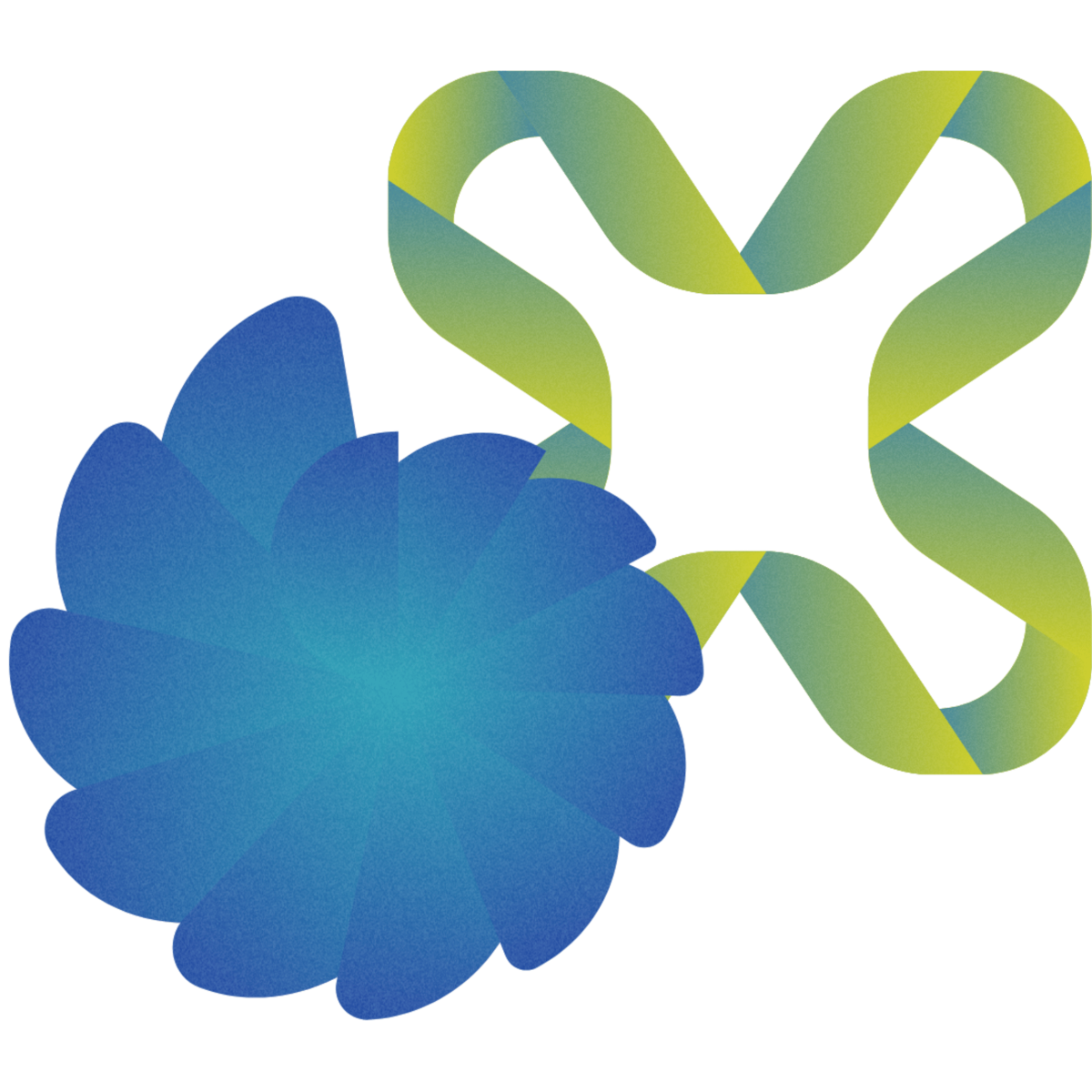 logo 1 (1)